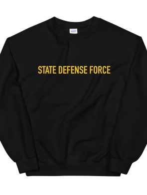 unisex-crew-neck-sweatshirt-black-front-6162f002b9b45.jpg