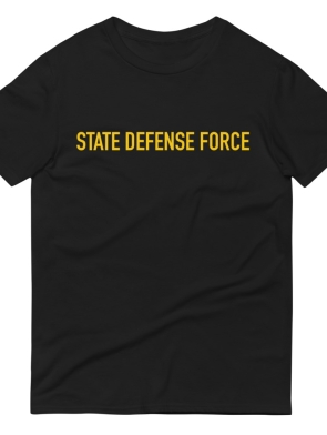unisex-lightweight-t-shirt-black-front-6162ef3c846d2.jpg