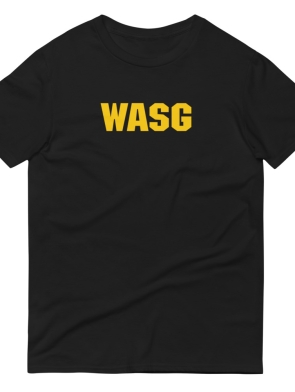 unisex-lightweight-t-shirt-black-front-625591bac3249.jpg