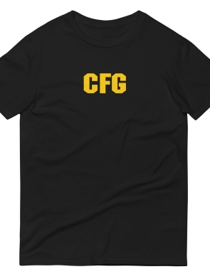 unisex-lightweight-t-shirt-black-front-62a90adfac61c.jpg