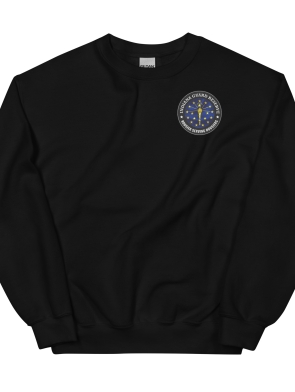 unisex-crew-neck-sweatshirt-black-front-6350360337d51.jpg