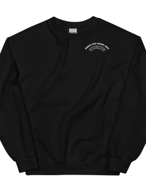 unisex-crew-neck-sweatshirt-black-front-6351a2732ca7b.jpg