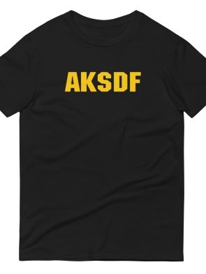 unisex-lightweight-t-shirt-black-front-6341afb549c51.jpg