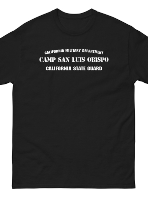 mens-classic-tee-black-front-63828ff1d4e16.jpg