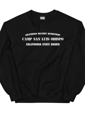 unisex-crew-neck-sweatshirt-black-front-63829040cb0d0.jpg