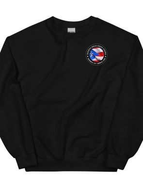 unisex-crew-neck-sweatshirt-black-front-639238ff914fd.jpg