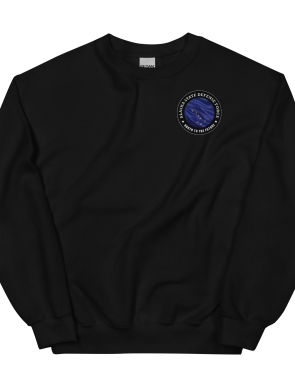 unisex-crew-neck-sweatshirt-black-front-6397c33439c8f.jpg