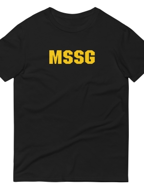 unisex-lightweight-t-shirt-black-front-63c705be3f505.jpg