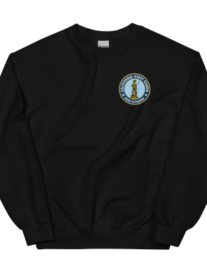 unisex-crew-neck-sweatshirt-black-front-63f239f86fdcd.jpg