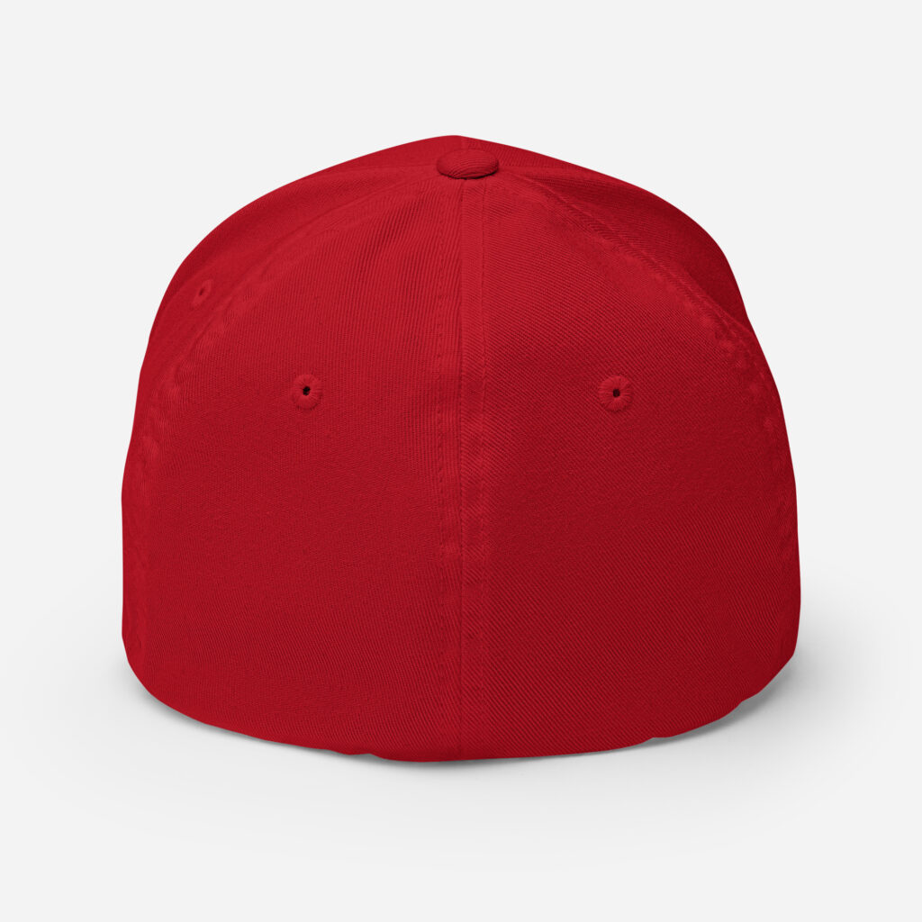Maryland Defense Force Minuteman OCP Cap - Image 10