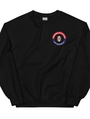 unisex-crew-neck-sweatshirt-black-front-643d911ab7c0a.jpg