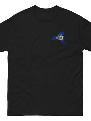 mens-classic-tee-black-front-65034108179fe.jpg