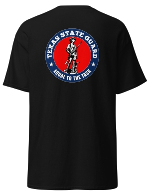 mens-classic-tee-black-back-6650dc41dab18.jpg
