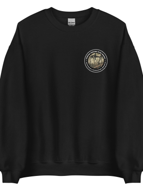 unisex-crew-neck-sweatshirt-black-front-67115f6087b52.jpg