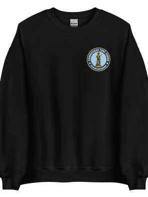 unisex-crew-neck-sweatshirt-black-front-6751f407299cd.jpg