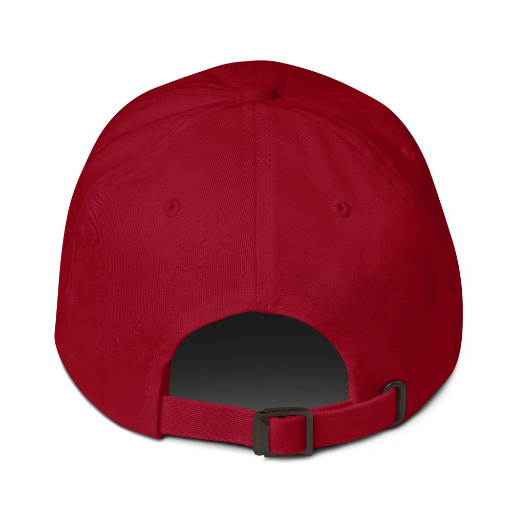 Tennessee State Guard 3rd Regiment Cap - Image 10