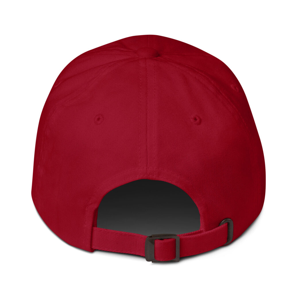 Tennessee State Guard 3rd Regiment Cap - Image 10