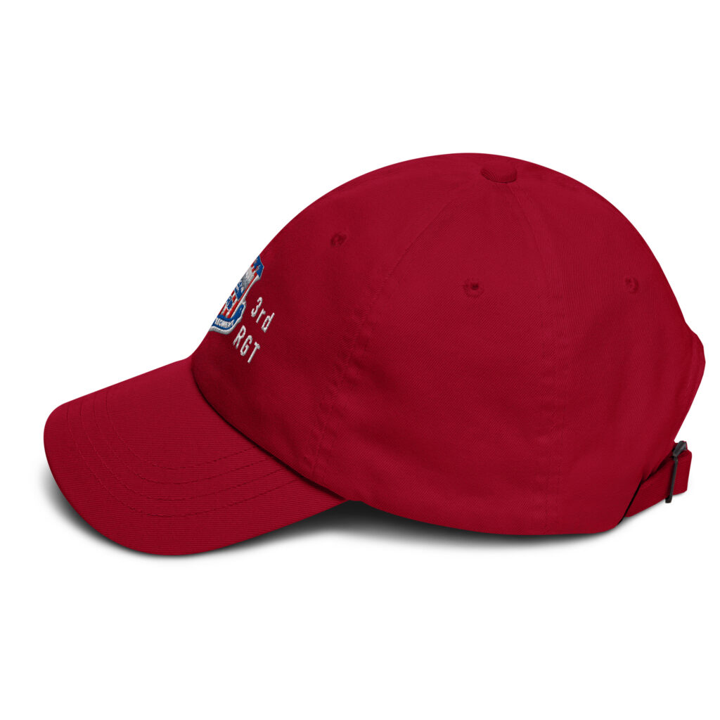 Tennessee State Guard 3rd Regiment Cap - Image 11