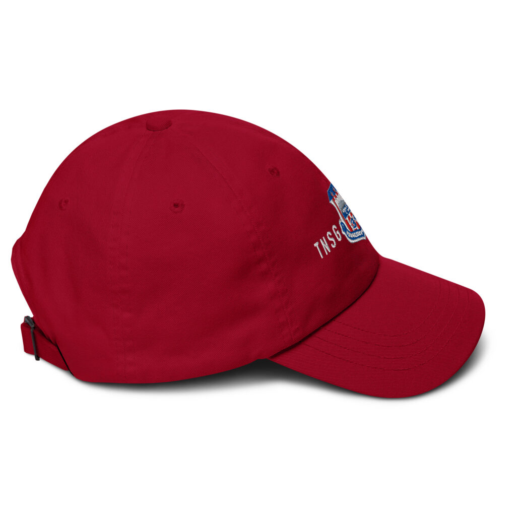 Tennessee State Guard 3rd Regiment Cap - Image 12