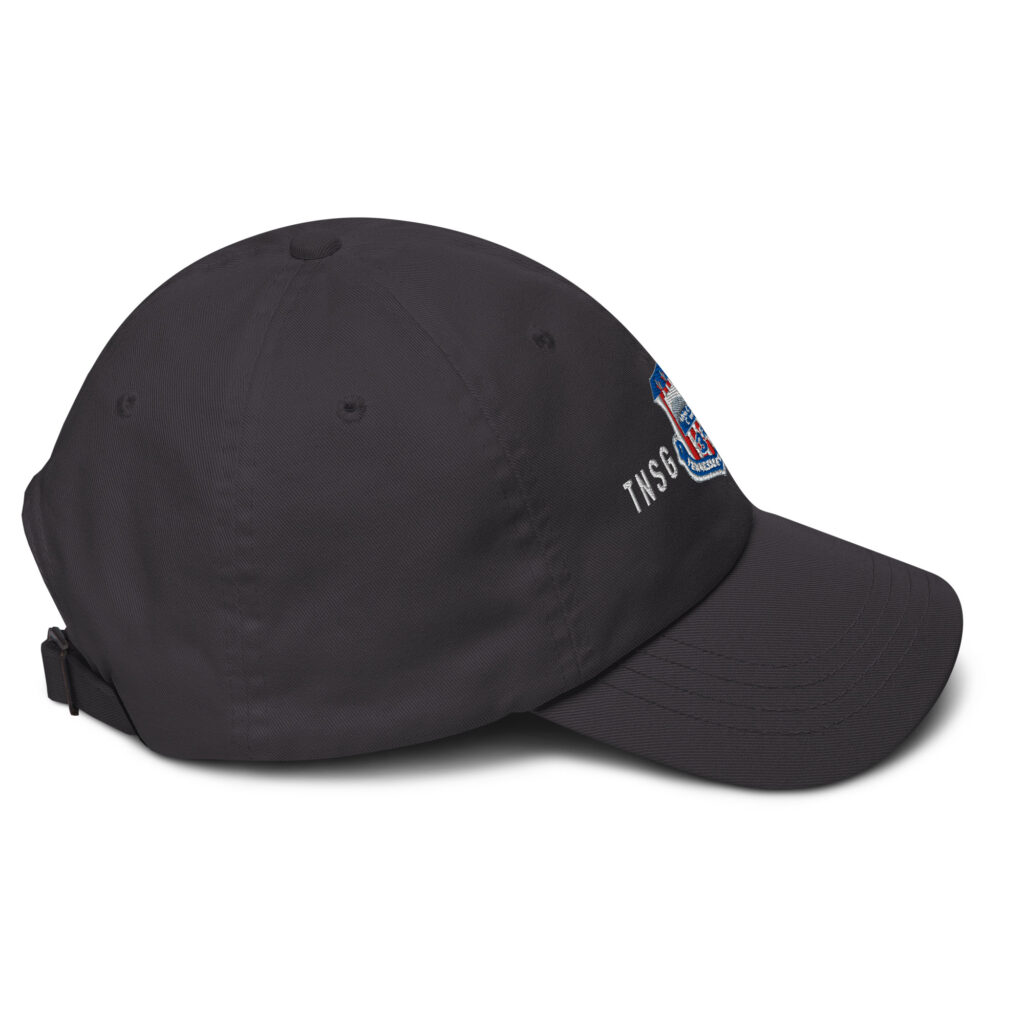 Tennessee State Guard 3rd Regiment Cap - Image 16